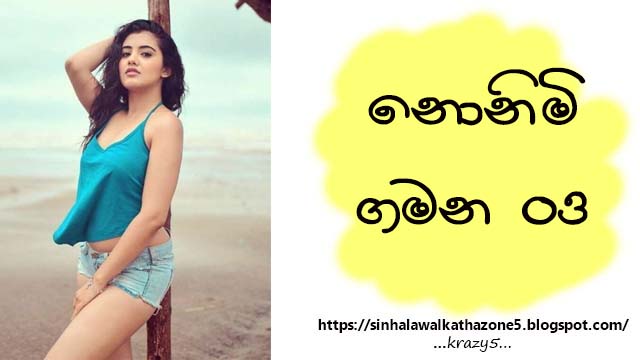 Nonimi Gamana | නොනිමි ගමන 03